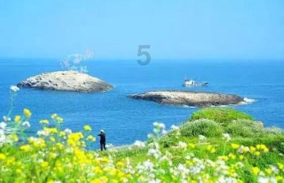 全民剧本大师内置菜单